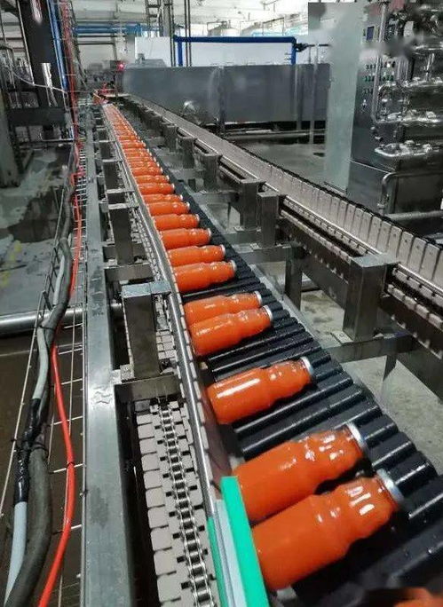 昌吉高新區(qū) 以精深加工引領(lǐng)產(chǎn)業(yè)升級(jí)，塑料化糞池助力綠色農(nóng)業(yè)增長(zhǎng)